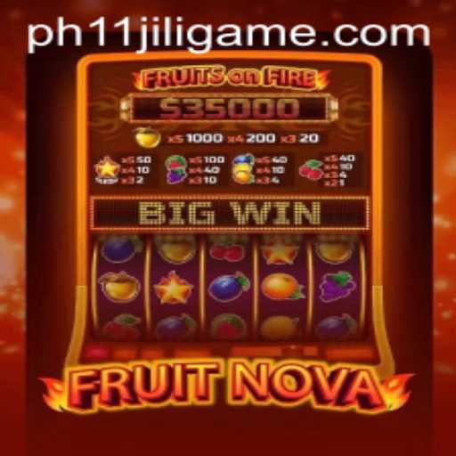 Exploring the World of FruitNova: A Thrilling Gaming Experience